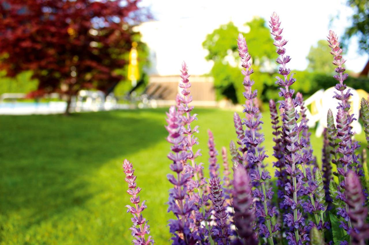 Pension Sattlerenglhof Laces Exteriér fotografie